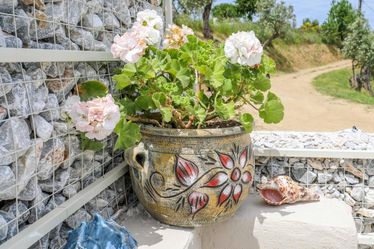 Casa Rozana - Skiathos Kültér fotó